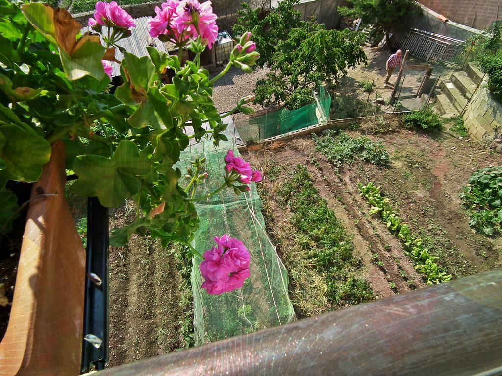 Casa Catharina Bed & Breakfast La Seu d'Urgell Luaran gambar